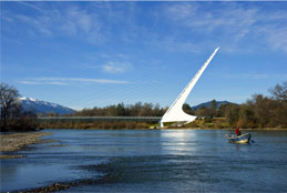Redding